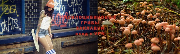 мдпв Зеленодольск