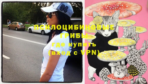 эйфоретик Заволжье