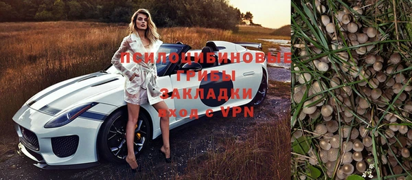 apvp Заводоуковск