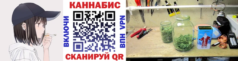 Купить где  Нижние Серги  Бошки Шишки сатива 
